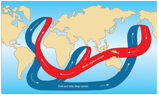 All choices below are correct about this figure except:   A)  the circulation of deep-ocean currents is the most important process in the global redistribution of solar energy. B)  the circulation is called thermohaline flow. C)  the circulation represents surface waters of the oceans. D)  seawater density is increased at high latitudes. E)  in warm climates the seawater is even saltier.