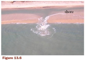 If you are caught in the rip current shown on this figure (Figure 13.6) your escape tactic will be:   A)  swimming along the current. B)  swimming toward shore. C)  swimming parallel to the shore. D)  swimming against the current. E)  not to do anything