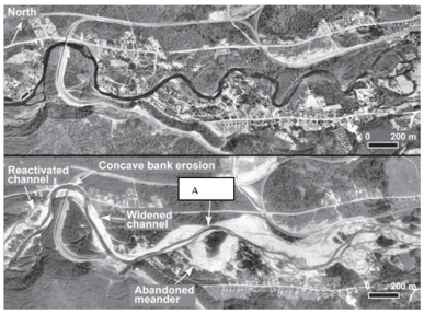 Arrow  A  in this figure (Figure 11.20) shows the following channel modification:   A)  reactivated channel. B)  widened channel. C)  avulsion. D)  bank erosion. E)  convex bank erosion.