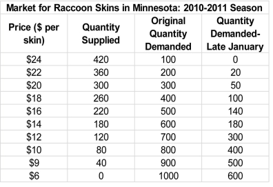The numbers in the table below characterize the market for raccoon skins in Minnesota during the 2010-2011 trapping season. The demand schedule that prevailed in November and December of 2010 is denoted by  Original Quantity Demanded,  and the demand schedule that prevailed from late January onward is denoted by  Quantity Demanded-Late January.     -Refer to the table above.Given the original demand,at a price of $22 per raccoon skin,there is a ________. A)  surplus of 160 skins B)  surplus of 340 skins C)  shortage of 340 skins D)  shortage of 160 skins