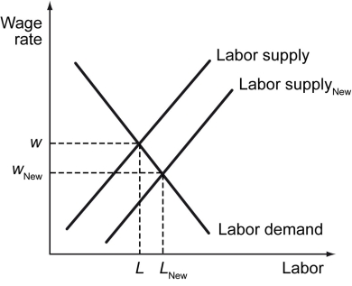 The following figure shows wage versus labor demand.    -Refer to the figure above.If there is an increase in the number of women in the labor market who have children and stay home with them instead of working,what will happen to the quantity of labor in the labor market? A)  It will increase as a result of a shift in the labor supply curve. B)  It will decrease as a result of a shift in the labor supply curve. C)  It will increase as a result of a shift in the labor demand curve. D)  It will decrease as a result of a shift in the labor demand curve.