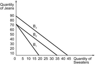 The following figure shows a consumer's budget constraint for jeans and sweaters.    -Refer to the figure above.Suppose B₁ is the original budget constraint of a consumer.A change in the budget constraint from B₁ to B₂ indicates ________. A)  an increase in the price of sweaters B)  a decrease in the price of sweaters C)  an increase in the consumer's income D)  a decrease in the consumer's income.