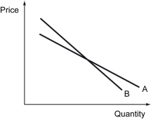 The demand curves for good A and B are depicted in the following graph.We can conclude that ________.   A)  the price elasticity of demand for good A is smaller than good B B)  the price elasticity of demand for good A is larger than good B C)  good A is perfectly elastic D)  good A is perfectly inelastic.
