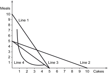 Christine is a chef.She can cook a meal in 1 hour and make a cake in 2 hours.She works 10 hours per day.Which of the four lines in the following figure represents her production possibilities curve?   A)  Line 1 B)  Line 2 C)  Line 3 D)  Line 4