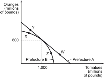 The figure below shows production possibilities curves for tomatoes and oranges in two prefectures in a country.    -Refer to the figure above. Suppose that Prefecture A produces at point W, while Prefecture B produces at point X. Could there be gains from trade (Prefecture A sells tomatoes to Prefecture B, and Prefecture B sells oranges to Prefecture B) ? Why or why not? A)  Yes, because Prefecture A has a comparative advantage in tomato production beyond 1 billion pounds while Prefecture B has a comparative advantage in orange production beyond 800 million pounds. B)  Yes, because Prefecture A produces more tomatoes while Prefecture B produces more oranges. C)  No, because Prefecture A's opportunity cost of producing additional pounds of tomatoes at W is higher than Prefecture B's opportunity cost at X. D)  No, because Prefecture A's opportunity cost of producing additional pound of oranges at W is higher than Prefecture B's opportunity cost at X. 