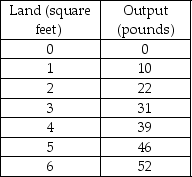 Scenario: Mark grows herbs in his backyard. The following table shows his output as a function of the square feet of land used.    -Refer to the scenario above.What is the marginal product of land when the third square foot of land is used? A)  8 B)  9 C)  10 D)  12