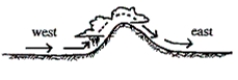 <strong>Referring to the figure below, which of the following chinook wind conditions are generated by the clouds and precipitation that form on the windward side of the mountain? </strong> A)cooler and moister than usual B)warmer and drier than usual C)warmer and moister than usual D)cooler and drier than usual