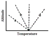 Referring to the figure below, which of the environmental temperature profiles indicates the most stable atmosphere?   A) profile A B) profile B C) profile C D) profile D