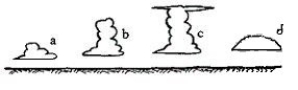   -Which of the clouds sketched in the figure above can be referred to as a towering cumulus (cumulus congestus) ?  A) cloud A B) cloud B C) cloud C D) cloud D