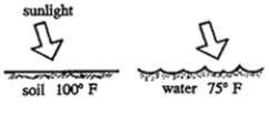 Referring to the diagram, sunlight energy is added at equal rates to soil and water. Which of the following factors contributes to the different temperatures of the two surfaces?   A) angle of the sun on the horizon B) heat capacity C) composition of the overlying atmosphere D) time of the year