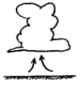 Referring to the figure below, which of the following two energy transport processes are illustrated by the warm air rising?   A) advection and latent heat energy transport B) convection and electromagnetic radiation C) convection and latent heat energy transport D) advection and electromagnetic radiation