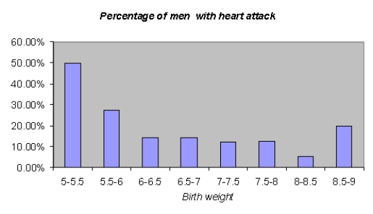 Suppose that a health magazine reports that a man's weight at birth has a significant impact on the chance that the man will suffer a heart attack during his life. A statistician analyzes a data set from a sample of 798 men, and produces the pivot table and histogram shown below. Determine how birth weight influences the chances that a man will have a heart attack.