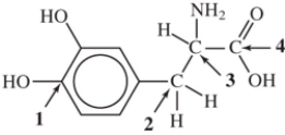 Identify the chiral carbon atom in L-dopa (used to treat Parkinson's disease) .   A) 1 B) 2 C) 3 D) 4