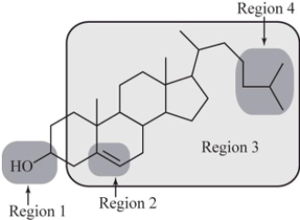 Which region of cholesterol is most responsible for its solubility in nonpolar substances?   A) Region 1 B) Region 2 C) Region 3 D) Region 4