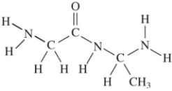 Two amino acids combine to form a dipeptide when the amino group of one reacts with the acid group of the other.Which structure is correct? A)    B)    C)    D)   