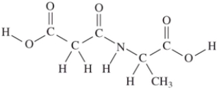 Two amino acids combine to form a dipeptide when the amino group of one reacts with the acid group of the other.Which structure is correct? A)    B)    C)    D)   