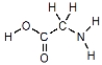 <strong>Which of these represents an amino acid?</strong> A) B) C) D)