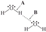 The drawing shows two water molecules.Which statement is correct?   A) A: covalent bond;B: hydrogen bond;B is stronger B) A: hydrogen bond;B: covalent bond;A is stronger C) A: covalent bond;B: hydrogen bond;A is stronger D) A: hydrogen bond;B: covalent bond;B is stronger