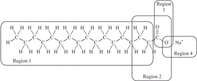 We cannot effectively clean nonpolar substances from our hands or clothing with water alone;we must add soap or detergent.The structure of a typical soap molecule is shown below.Which region of this molecule would dissolve in a nonpolar substance such as grease?   A) Region 1 B) Region 2 C) Region 3 D) Region 4