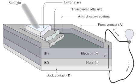 In this photovoltaic (solar)  cell,the n-type semiconductor is in the region labeled   A) A B) B C) C D) D