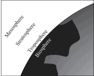 In Earth's atmosphere,where is the ozone layer?   A) Troposphere B) Biosphere C) Mesosphere D) Stratosphere