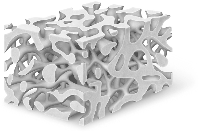 What type of bone is illustrated?   A)  hyaline cartilage B)  spongy bone C)  compact bone D)  articular cartilage