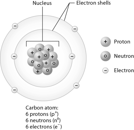 Match the following information about the carbon atom using the figure.    -Determine the atomic number for this atom.