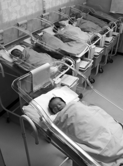 Which of the following statements concerning Afghanistan and the bacha posh, daughters transformed into sons, is true?   A)  Families with only sons often experience shame and pity. B)  Most of the time, a bacha posh returns to womanhood when the child enters puberty. C)  Parents of bacha posh consider transforming their girls into boys to be cruel. D)  Girls are highly prized.