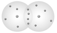 Examine the following image showing a  subatomic  level diagram of two atoms forming a bond.   The type of bond formed is a single covalent bond.