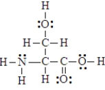 Below is the structure of the amino acid, serine. Four hydrogen atoms in the compound can form hydrogen bonds.  