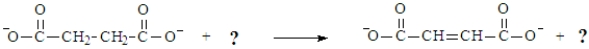 Consider the following biochemical reaction.   To complete the reaction, which redox coenzymes should be used to replace the question marks, respectively? A) FAD, FADH<sub>2</sub> B) NAD<sup>+</sup>, NADH C) NADP<sup>+</sup>, NADPH D) Any of the above could be used.