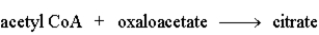 The following is a summary of the steps found in the metabolic pathway known as the Citric Acid Cycle. Step 1:   Step 2:   Step 3:   Step 4:   Step 5:   Step 6:   Step 7:   Step 8:   Fill in the blanks in the following question with the appropriate term from the list below. oxaloacetate oxidation citrate reduction isocitrate consumes a-ketoglutarate produces succinyl-CoA NADH succinate FAD fumarate NADPH malate -The reactant of step 5 is _______________________.