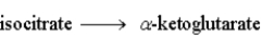 The following is a summary of the steps found in the metabolic pathway known as the Citric Acid Cycle. Step 1:   Step 2:   Step 3:   Step 4:   Step 5:   Step 6:   Step 7:   Step 8:   Fill in the blanks in the following question with the appropriate term from the list below. oxaloacetate oxidation citrate reduction isocitrate consumes a-ketoglutarate produces succinyl-CoA NADH succinate FAD fumarate NADPH malate -The reactant of step 5 is _______________________.