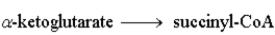 The following is a summary of the steps found in the metabolic pathway known as the Citric Acid Cycle. Step 1:   Step 2:   Step 3:   Step 4:   Step 5:   Step 6:   Step 7:   Step 8:   Fill in the blanks in the following question with the appropriate term from the list below. oxaloacetate oxidation citrate reduction isocitrate consumes a-ketoglutarate produces succinyl-CoA NADH succinate FAD fumarate NADPH malate -The reactant of step 5 is _______________________.