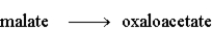 The following is a summary of the steps found in the metabolic pathway known as the Citric Acid Cycle. Step 1:   Step 2:   Step 3:   Step 4:   Step 5:   Step 6:   Step 7:   Step 8:   Fill in the blanks in the following question with the appropriate term from the list below. oxaloacetate oxidation citrate reduction isocitrate consumes a-ketoglutarate produces succinyl-CoA NADH succinate FAD fumarate NADPH malate -The reactant of step 5 is _______________________.