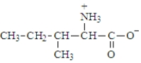 The structure of isoleucine is   The zwitterion form of the amino acid isoleucine is  