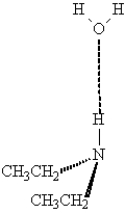 The following illustrates an amine acting as hydrogen bond donor with water.  <div style=padding-top: 35px> 