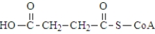 The following compound undergoes oxidative decarboxylation using coenzyme A (CoA)  as the thiol.   Which of the following is a product of this reaction? A)    B)    C)    D)   