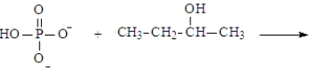 Predict the products of the following reaction. Assume the pH is 7.   A)    B)    C)    D)    E) Both a and d could form at pH 7.
