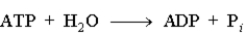The following reaction is driven by the breakdown of ATP, what is the single chemical equation that combines these two reactions?     A)    B)    C)    D)   