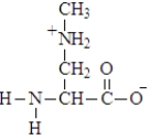 The amino acid shown below maybe associated with ALS (Lou Gehrig's disease)  and Parkinson's disease.   Which of the following is the zwitterion ion form of the uncommon amino acid? A)    B)    C)    D)   