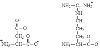 What type of interaction would occur between the side chains of the two amino acids shown below?   A) ion-ion attraction B) disulfide bridge C) hydrophobic interaction D) hydrophilic interaction