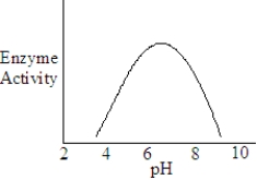 The following represents the results of an experiment on a metabolic enzyme.   What is the optimum pH of this enzyme? A) 3.0 B) 5.5 C) 6.5 D) 9.5