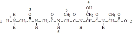 Consider the structure shown below.   Fill in the blanks with an integer (1,2,3,4,5....)as shown in the diagram or to represent a specified number. -The atom represented by the number _______________________ would carry a δ- charge.