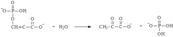 The following reaction is used to generate ATP.   This reaction is: A) exothermic. B) produces more than 7.3 kcal/mol. C) both exothermic and produces more than 7.3 kcal/mol.