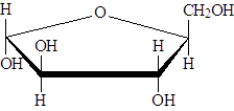 Examine the following structures.   Fill in the blanks with the appropriate term from the list below. arabinose idose fructose -___________________ is an enantiomer of the following molecule.  