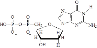 The following molecule would be considered to be an activated nucleotide in DNA synthesis.