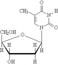 Consider the structure given below.   Which of the following correctly characterizes this substance? A) RNA nucleoside B) RNA nucleotide C) DNA nucleoside D) DNA nucleotide