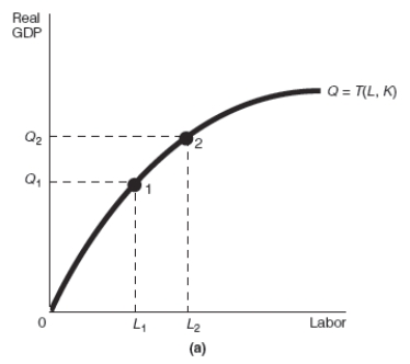Exhibit 17-2     -Refer to Exhibit 17-2.Assume that the starting point is always point 1.Which of the production function graphs shown, (a) or (b) ,represents an increase in the quantity of labor,and which represents an increase in the technology coefficient,respectively? A) (a) ; (b)  B) (b) ; (a)  C) (a) ; (a)  D) (b) ; (b) 