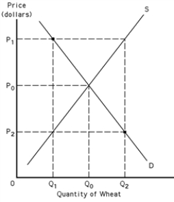 Exhibit 39-2   -Refer to Exhibit 39-2.Given a target price of P<sub>1</sub>,what price does the consumer pay? A) P<sub>1</sub>. B) P<sub>0</sub>. C) P<sub>2</sub>. D) a price not shown on the diagram.
